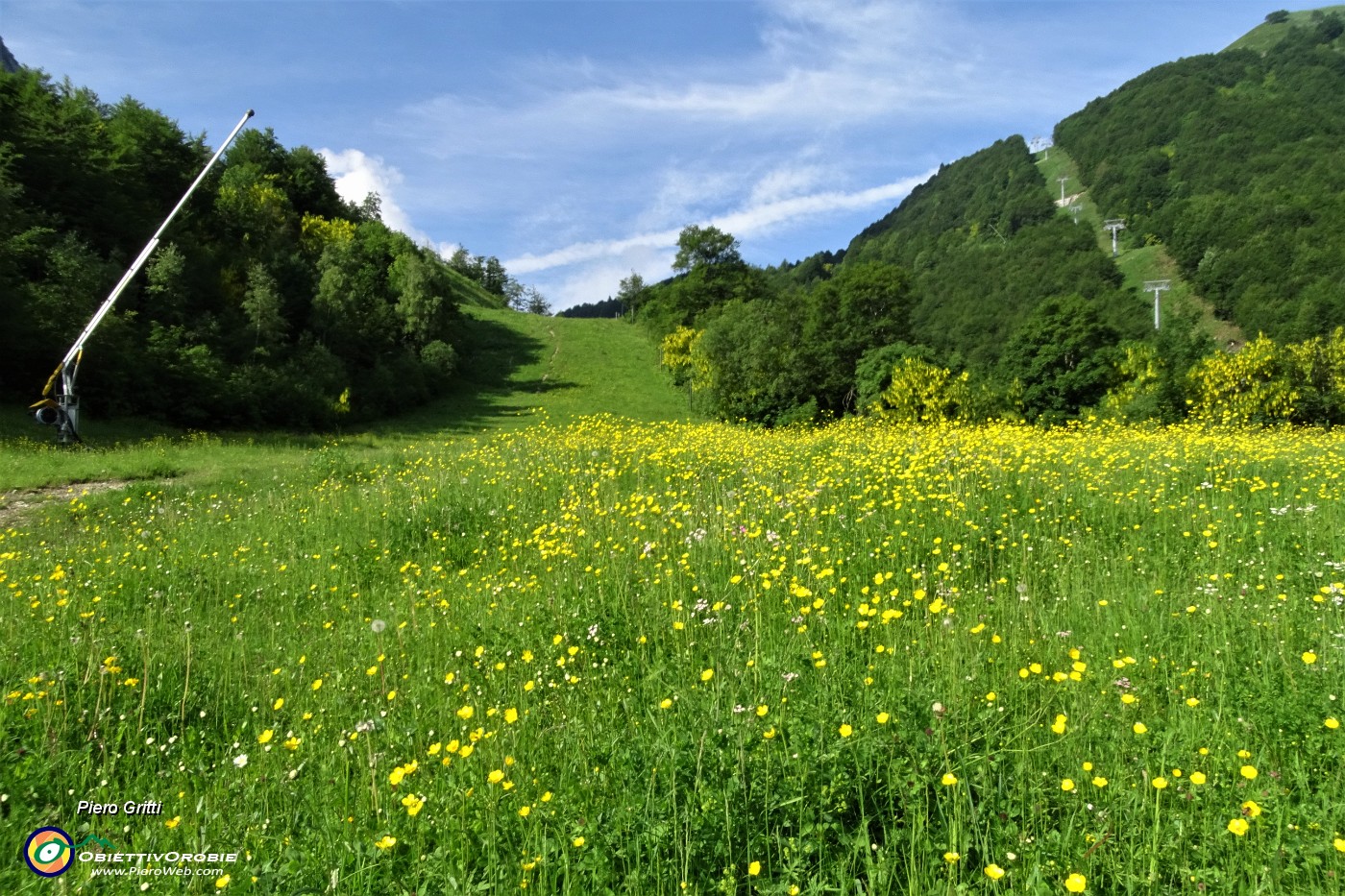 16 Verde e giallo salendo la valletta per i Piani di Bobbio....JPG